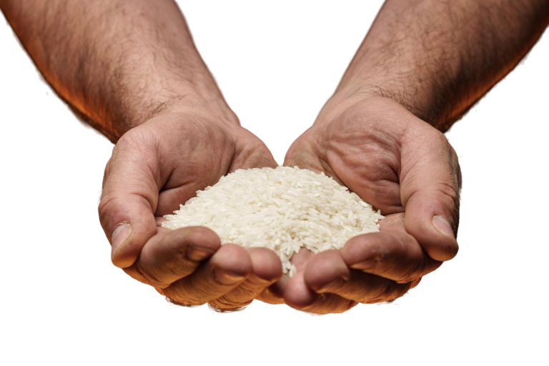 Hand pouring rice